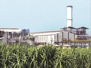 Sugar Industry